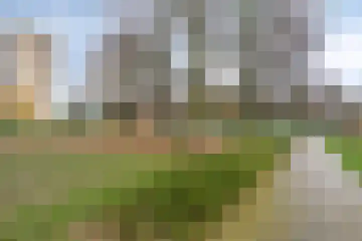 Bilderdijklaan 89 Groningen thumbnail 23