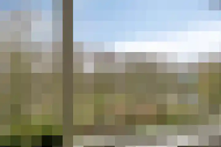 Bilderdijklaan 89 Groningen thumbnail 4