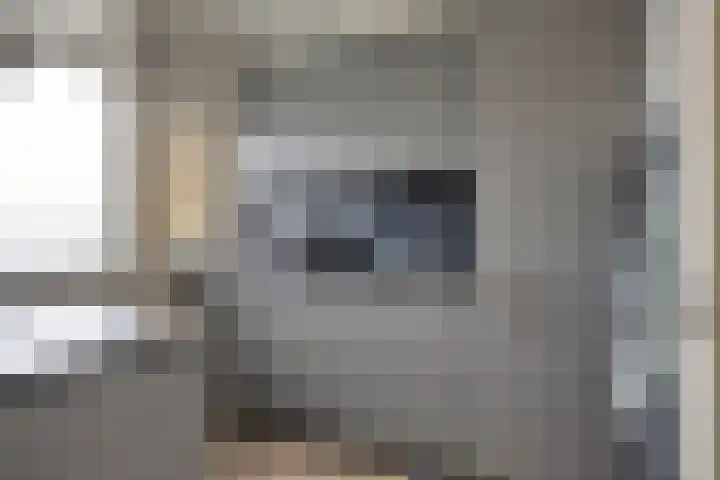 Bilderdijklaan 89 Groningen thumbnail 8
