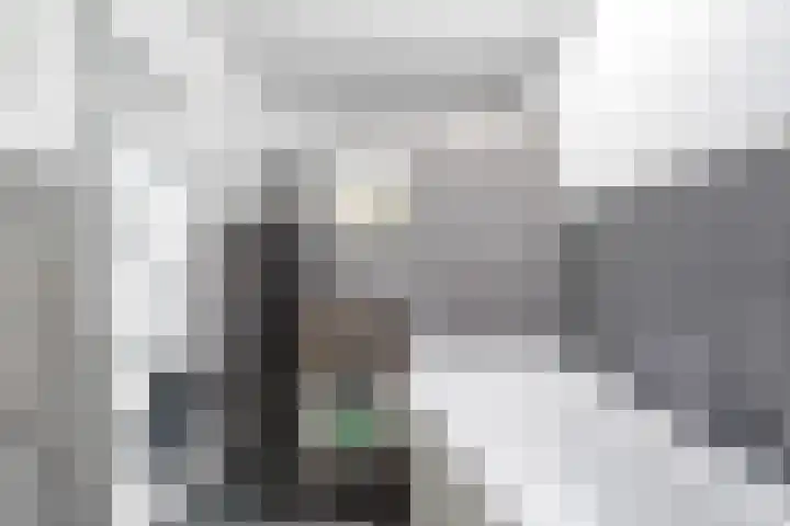 Bilderdijklaan 9 Rijswijk thumbnail 17
