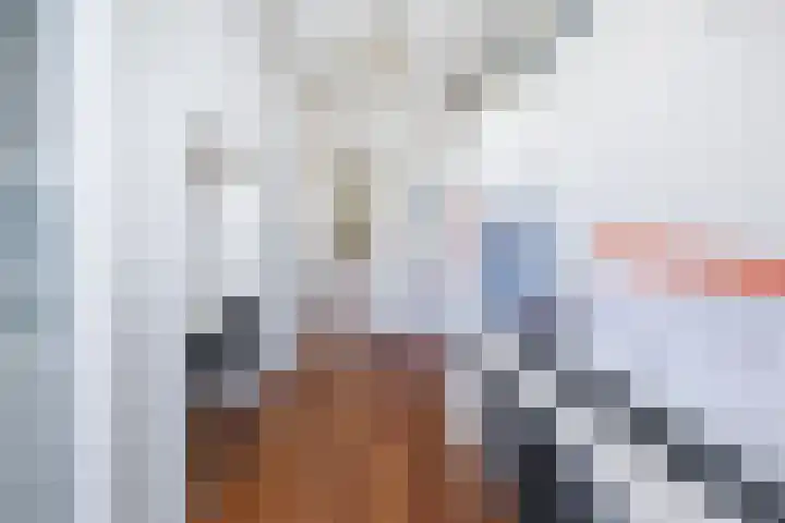 Bilderdijklaan 9 Rijswijk thumbnail 20