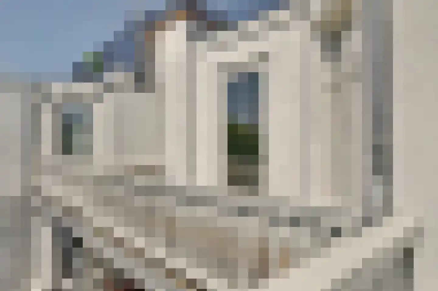 Bilderdijkpark 8 4 Amsterdam thumbnail 20