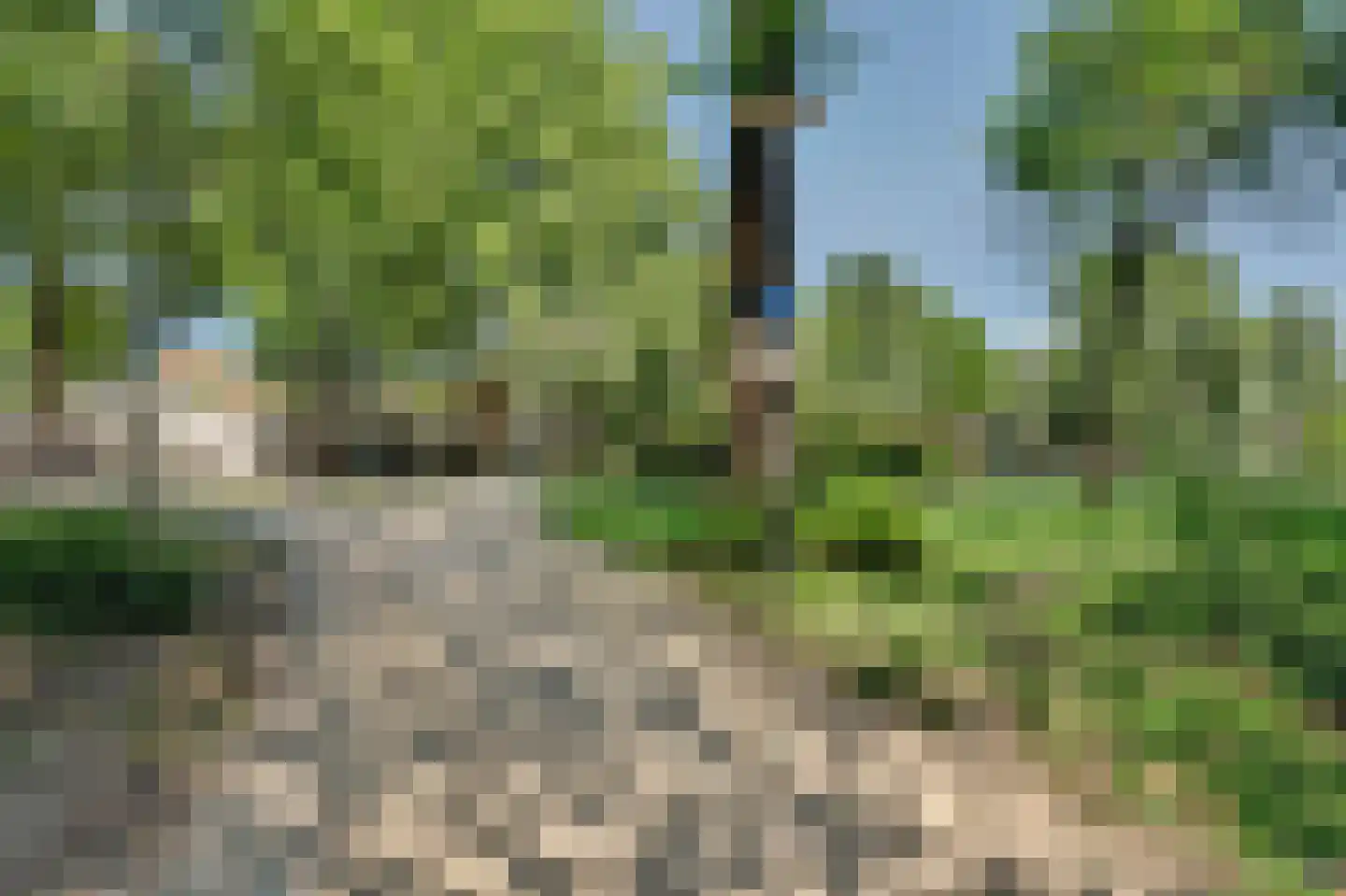 Bilderdijkpark 8 4 Amsterdam thumbnail 30
