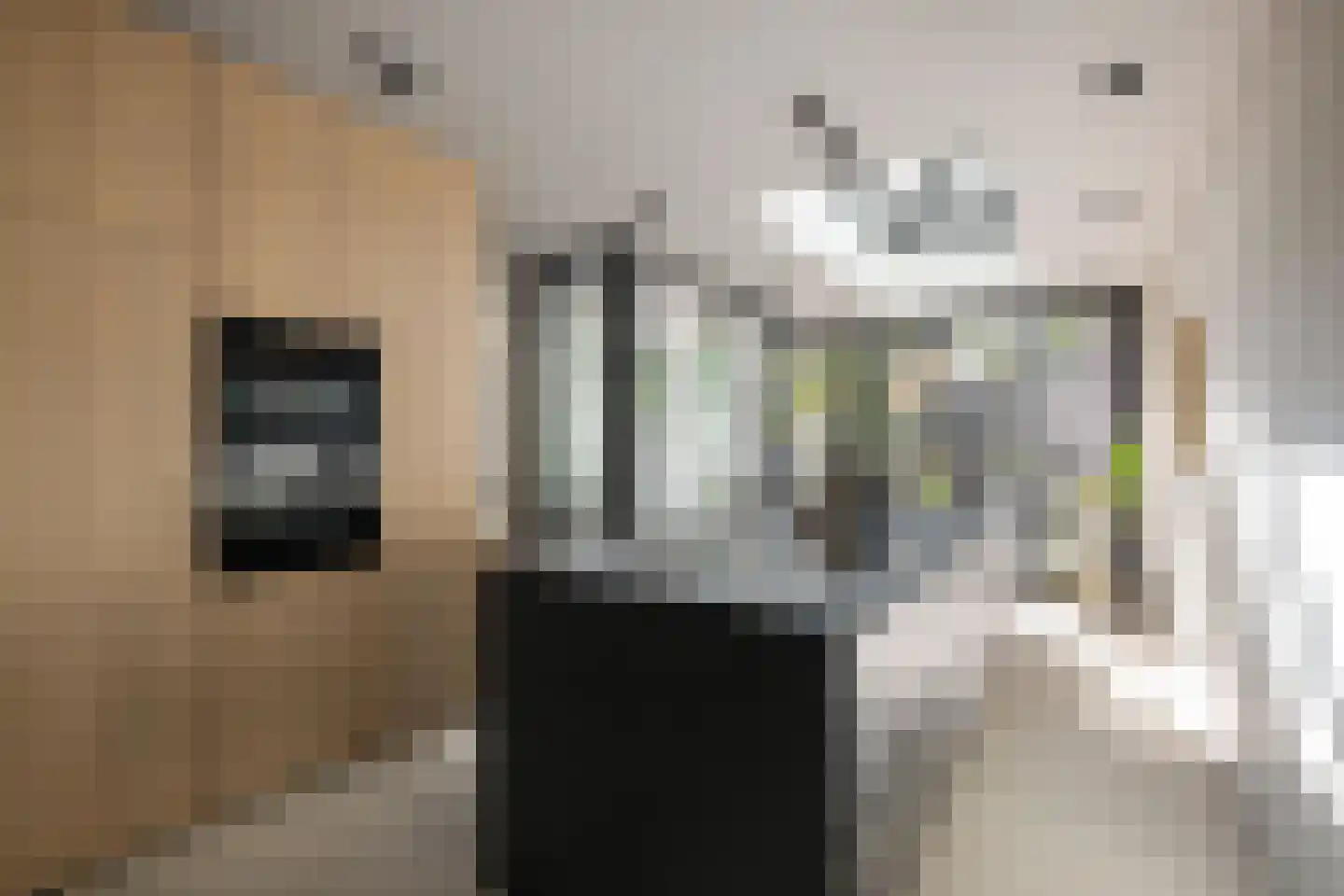 Bilderdijkpark 8 H Amsterdam thumbnail 12