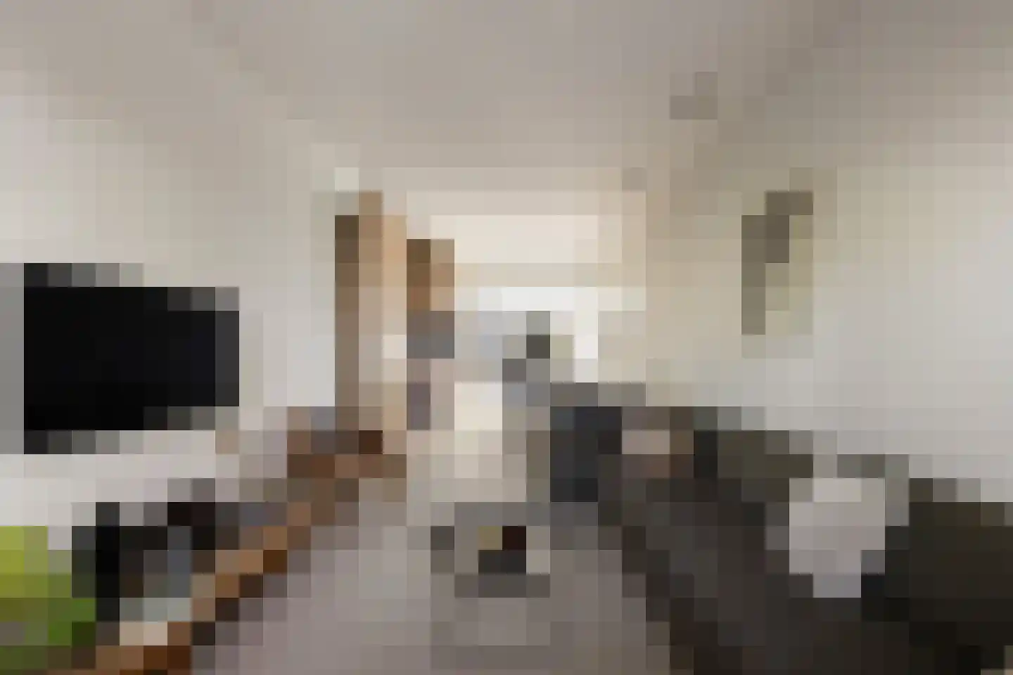 Bilderdijkpark 8 H Amsterdam thumbnail 18