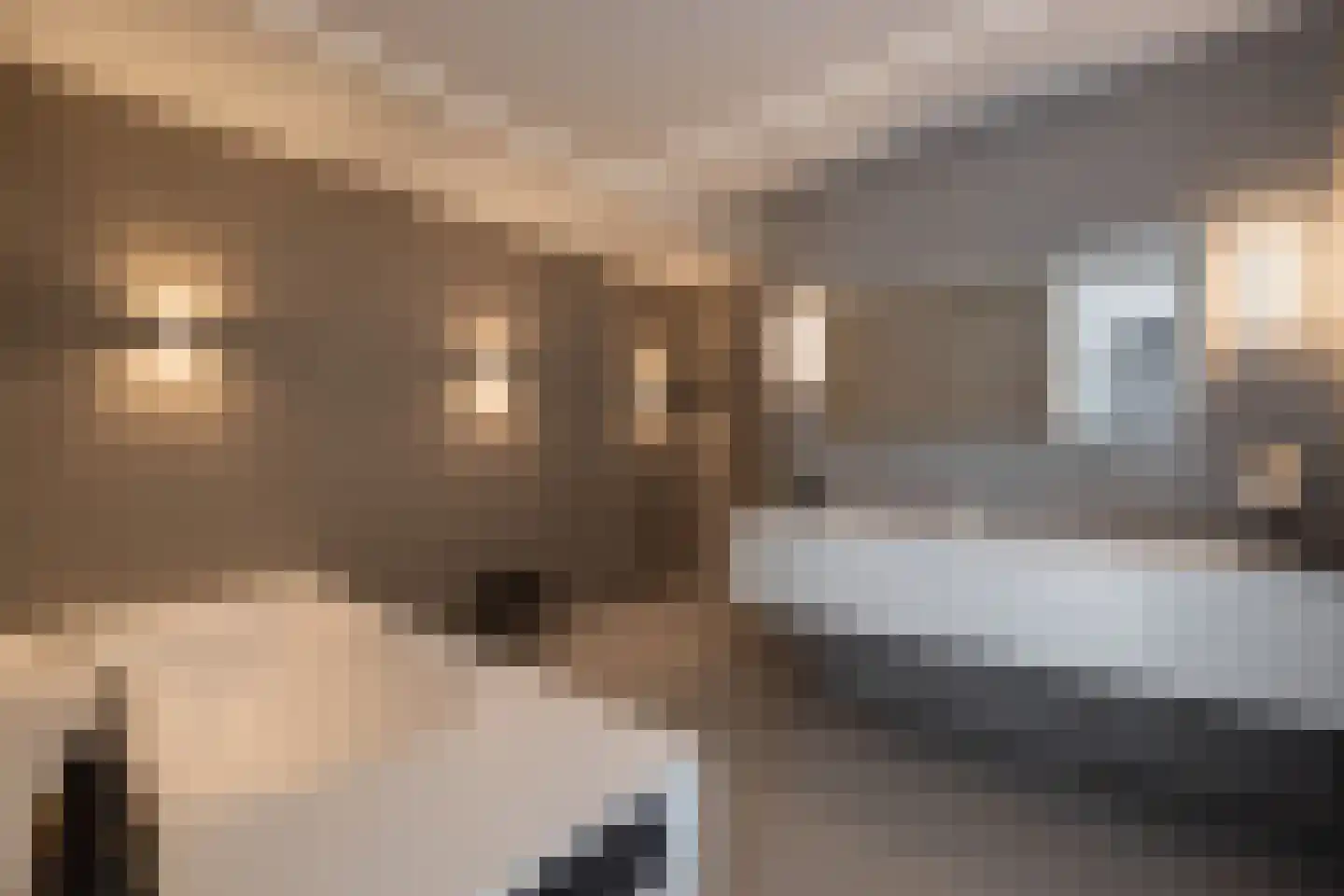 Bilderdijkpark 8 H Amsterdam thumbnail 26