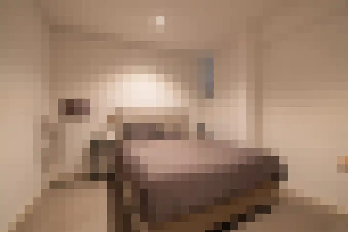 Bilderdijkpark 8 H Amsterdam thumbnail 29