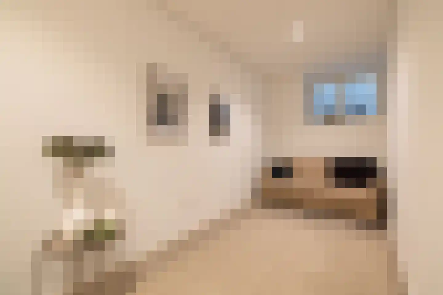 Bilderdijkpark 8 H Amsterdam thumbnail 30