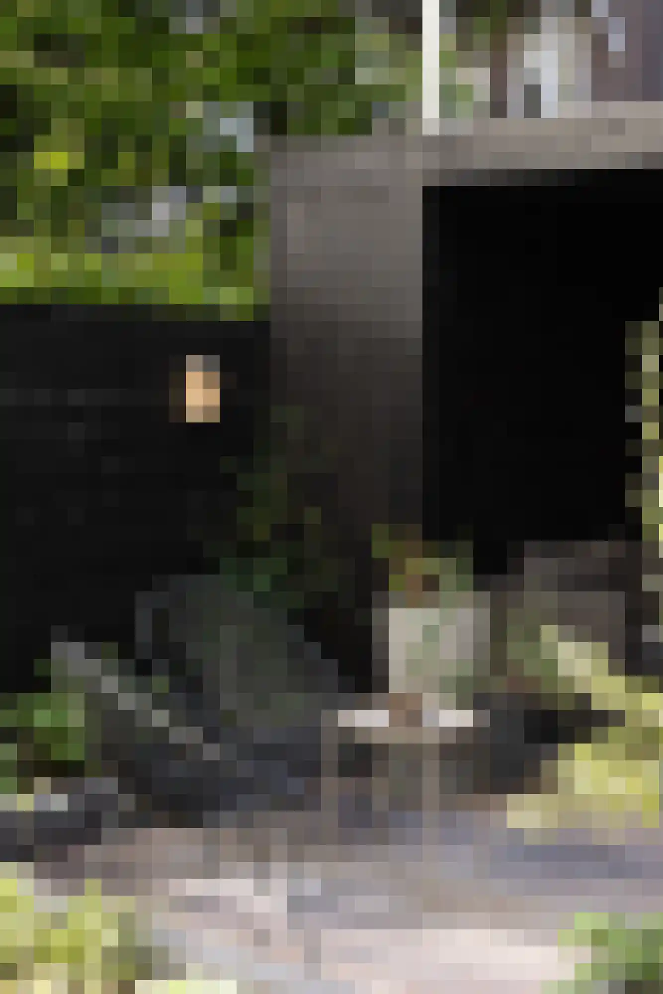 Bilderdijkpark 8 H Amsterdam thumbnail 35