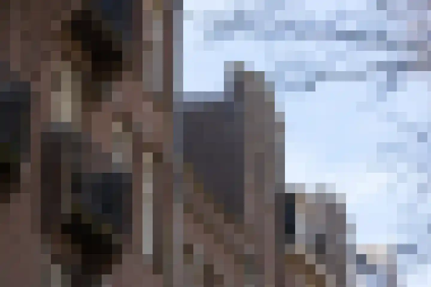 Bilderdijkpark 8 H Amsterdam thumbnail 37