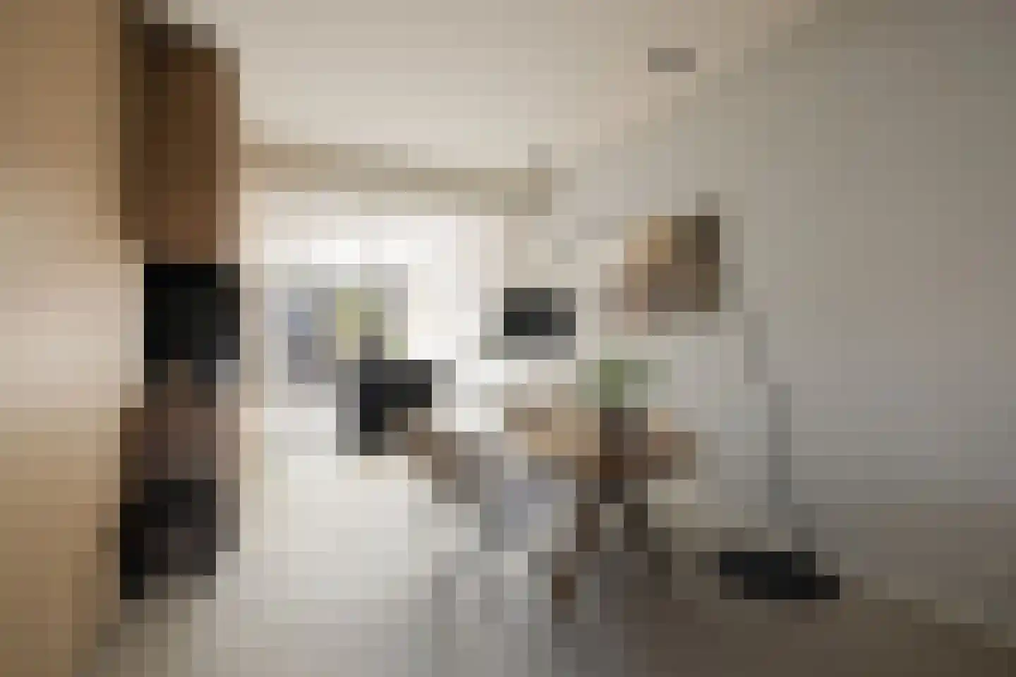 Bilderdijkpark 8 H Amsterdam thumbnail 6