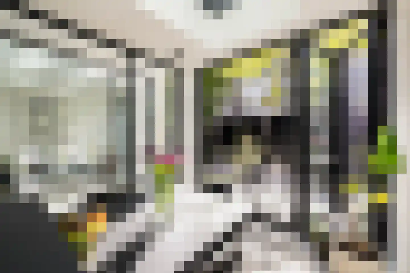 Bilderdijkpark 8 H Amsterdam thumbnail 8