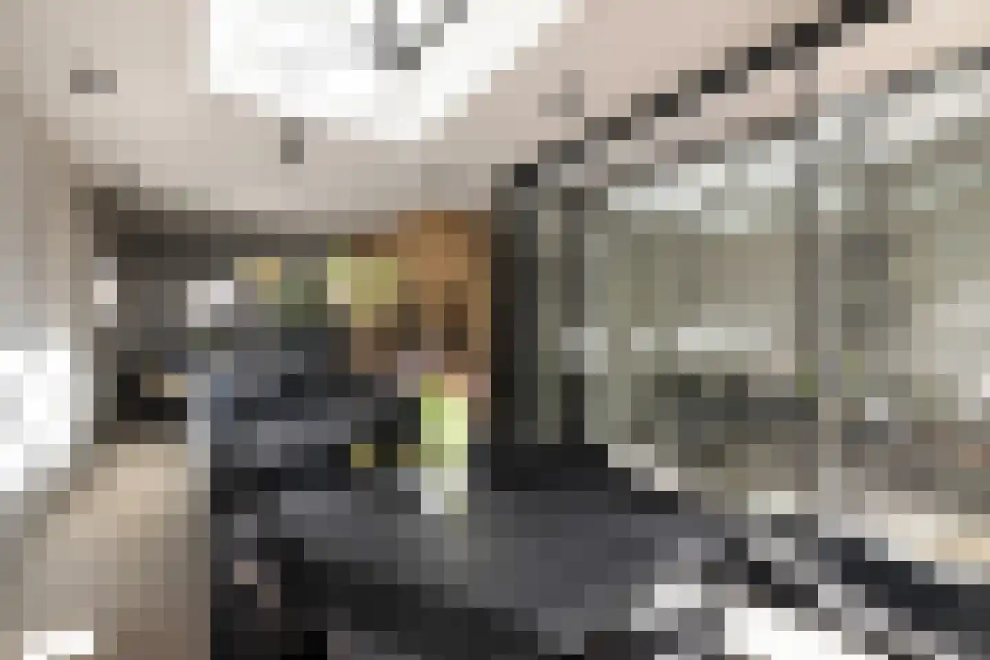 Bilderdijkpark 8 H Amsterdam thumbnail 9