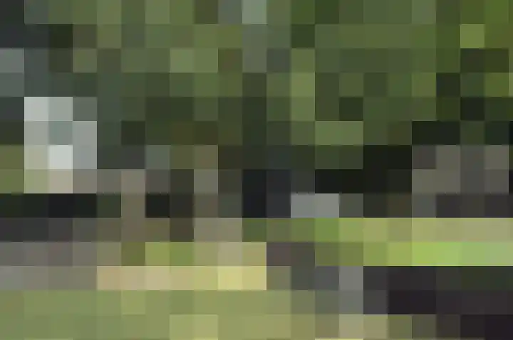 Bilderdijkplein 13 Voorburg thumbnail 10