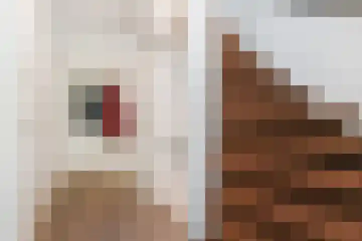 Bilderdijkplein 13 Voorburg thumbnail 13