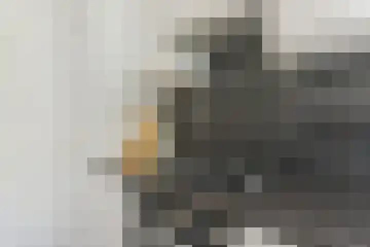 Bilderdijkplein 13 Voorburg thumbnail 39