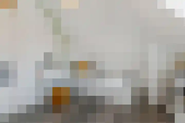 Bilderdijkplein 13 Voorburg thumbnail 49