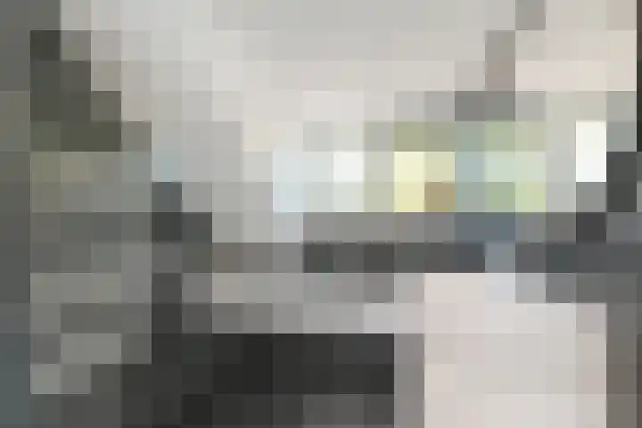 Bilderdijkplein 13 Voorburg thumbnail 52