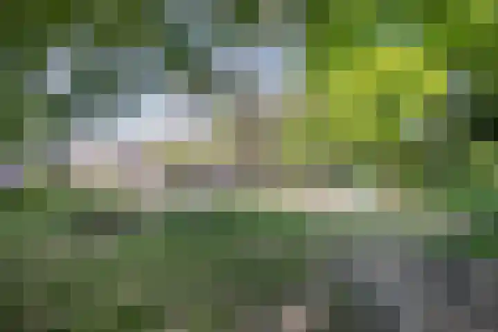 Bilderdijkplein 13 Voorburg thumbnail 58