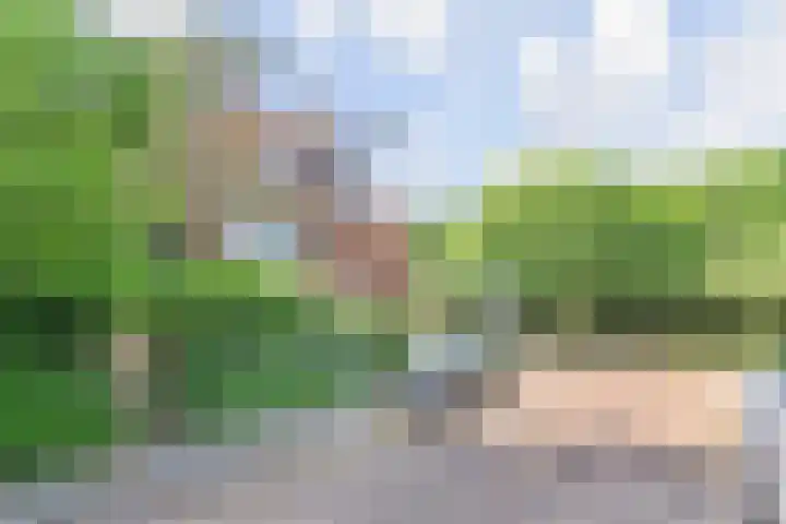 Bilderdijkplein 13 Voorburg thumbnail 7