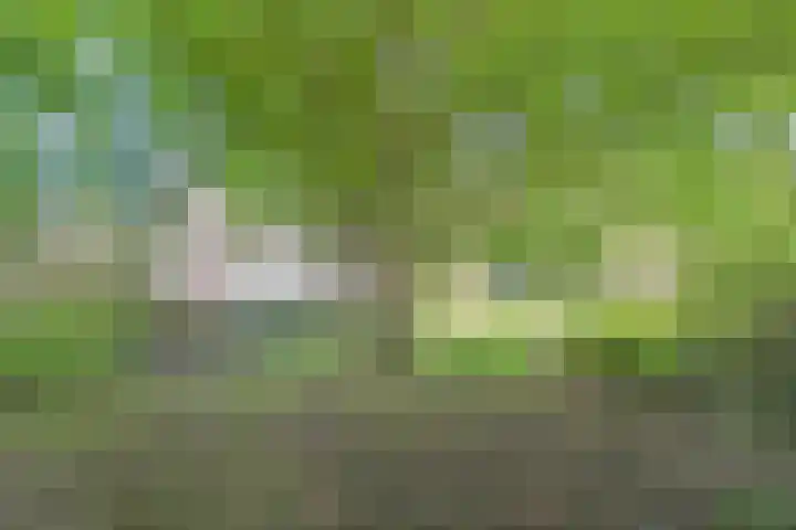 Bilderdijkplein 13 Voorburg thumbnail 8