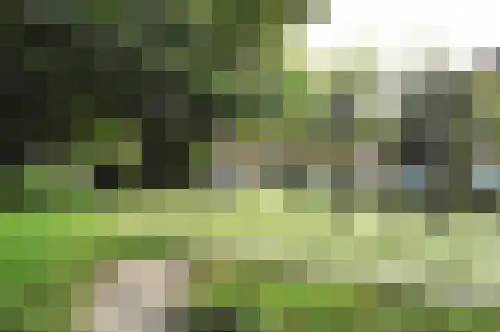Bilderdijkplein 13 Voorburg thumbnail 9