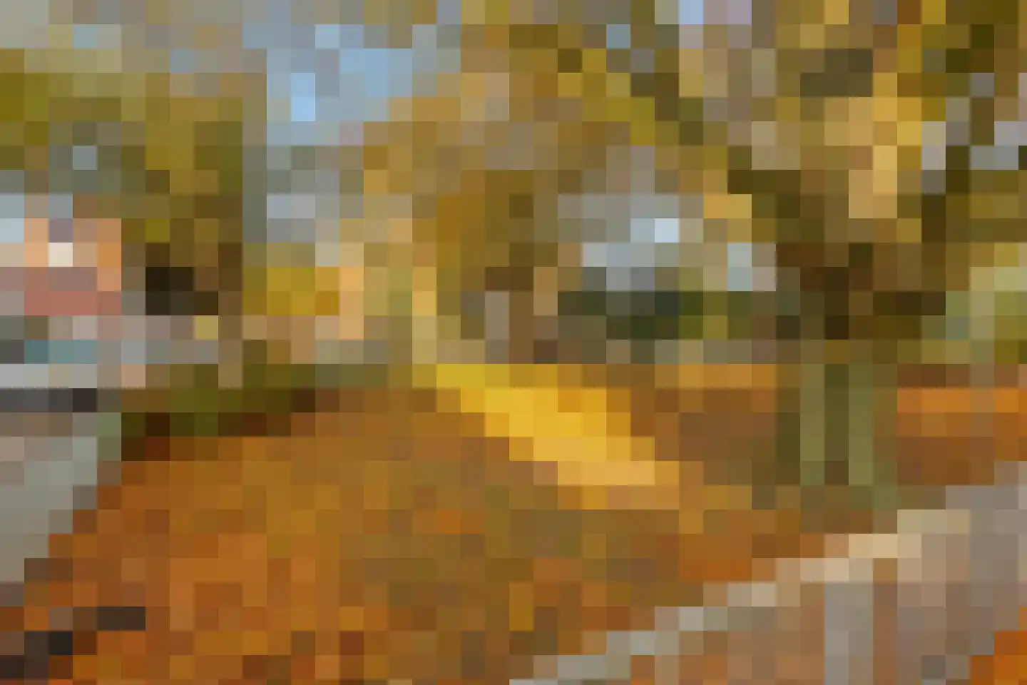 Bilderdijkplein 21 Voorburg thumbnail 30