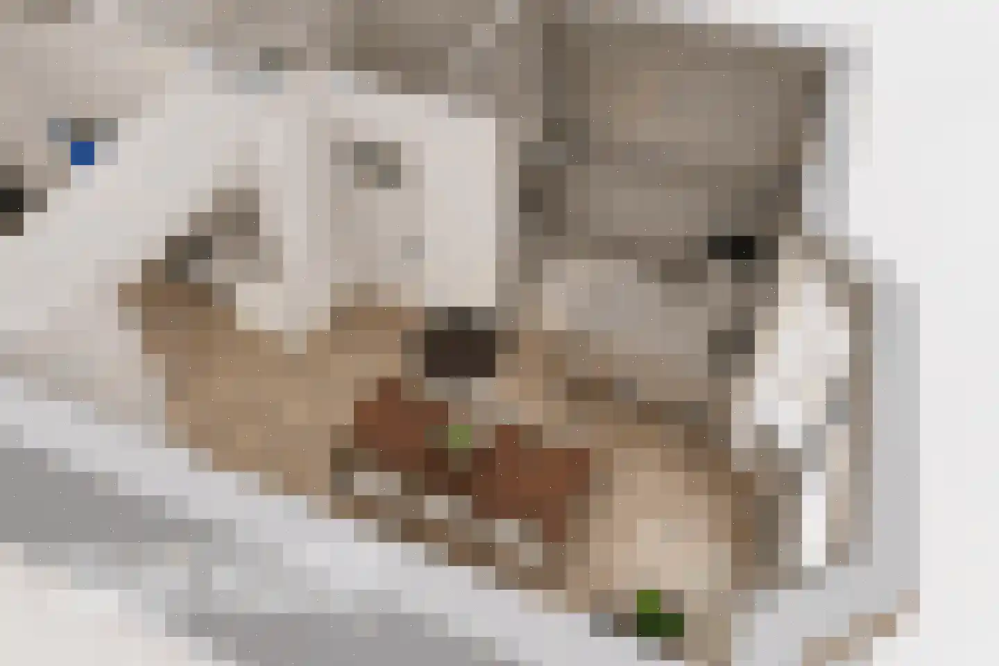Bilderdijkplein 21 Voorburg thumbnail 37
