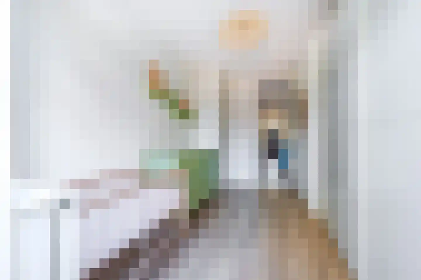 Bilderdijkplein 31 Voorburg thumbnail 16