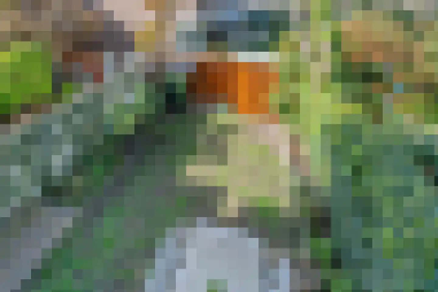 Bilderdijkplein 31 Voorburg thumbnail 20