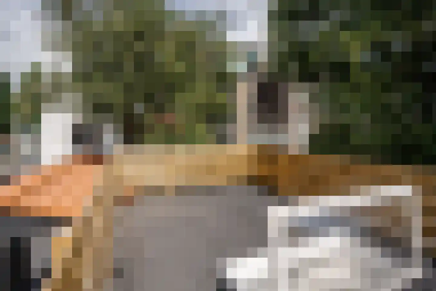 Bilderdijkstraat 1 D Haarlem thumbnail 32