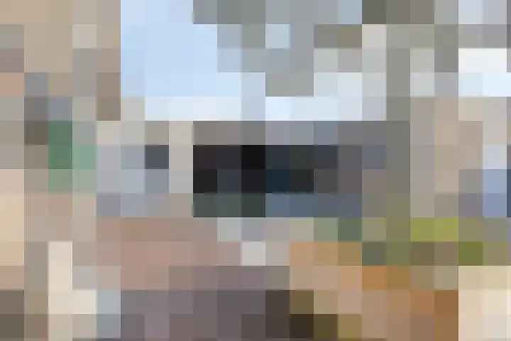 Bilderdijkstraat 1 Rosmalen thumbnail 26