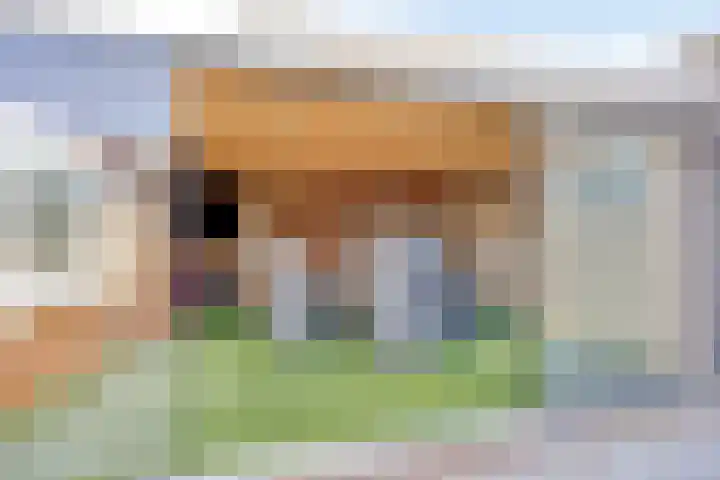 Bilderdijkstraat 1 Rosmalen thumbnail 31