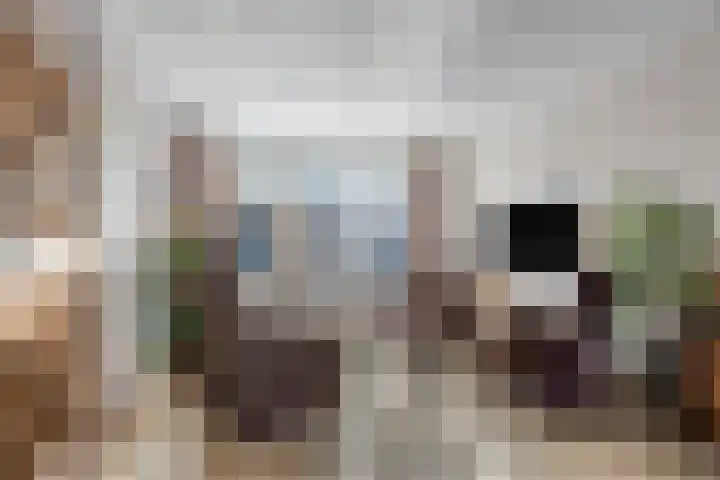 Bilderdijkstraat 1 Rosmalen thumbnail 5
