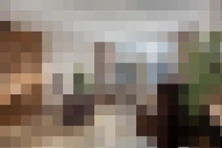 Bilderdijkstraat 1 Rosmalen thumbnail 6