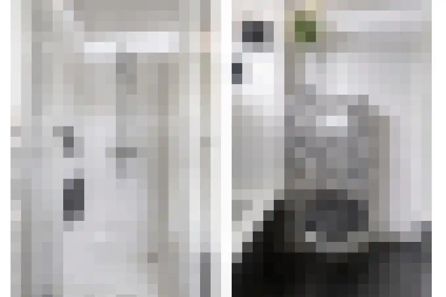 Bilderdijkstraat 10 Oss thumbnail 21