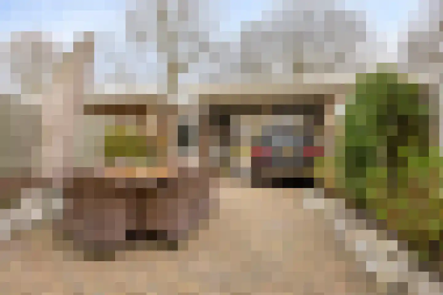 Bilderdijkstraat 10 Oss thumbnail 30