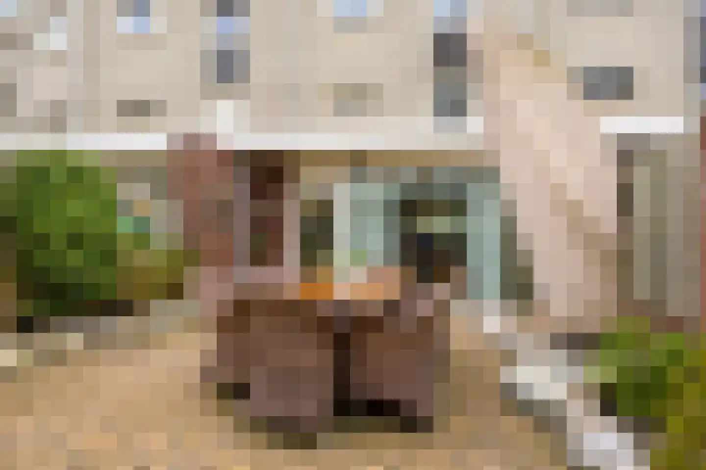 Bilderdijkstraat 10 Oss thumbnail 31