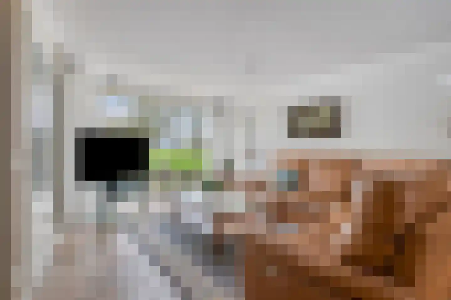 Bilderdijkstraat 10 Oss thumbnail 7