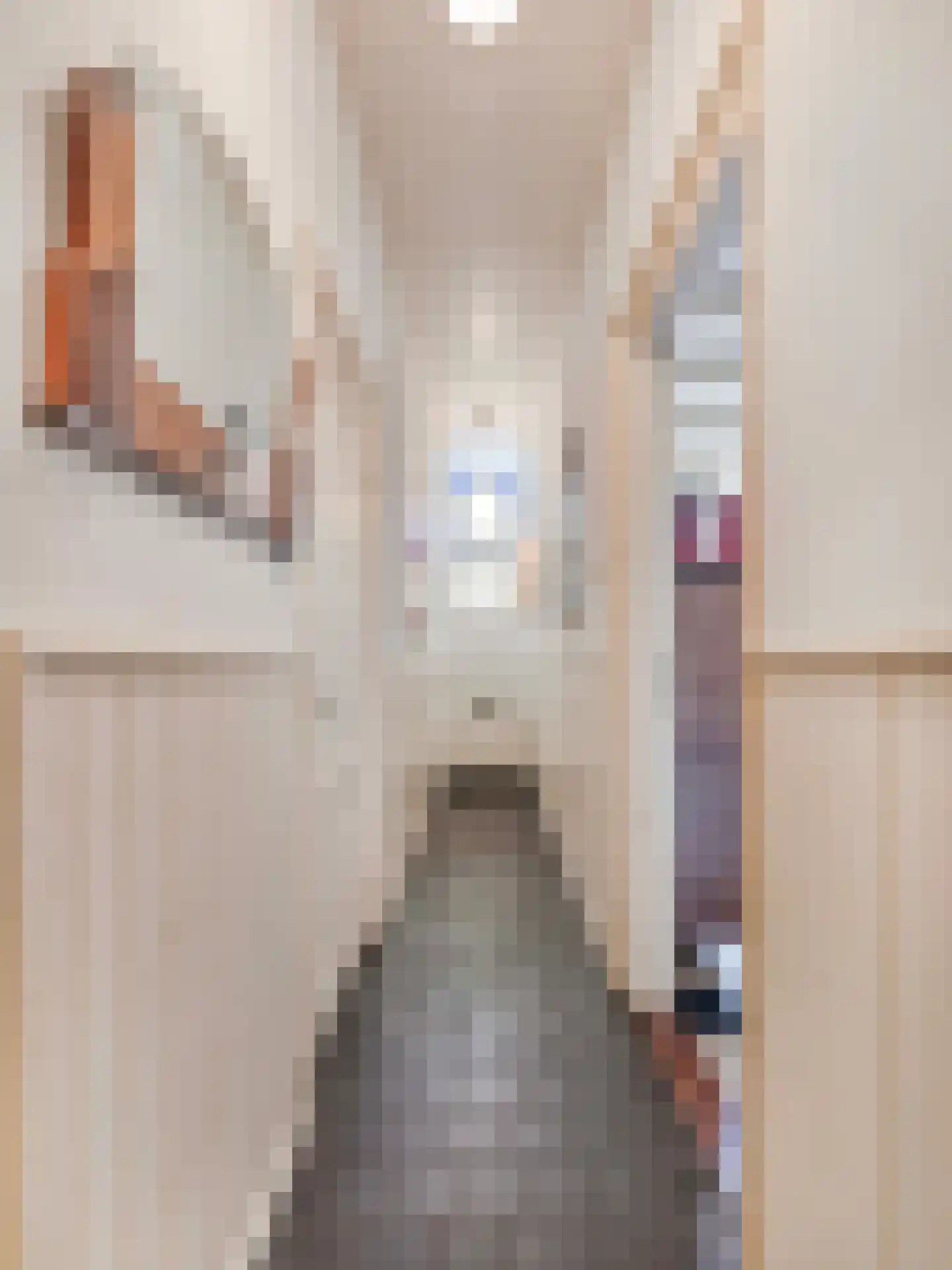 Bilderdijkstraat 10 Utrecht thumbnail 18