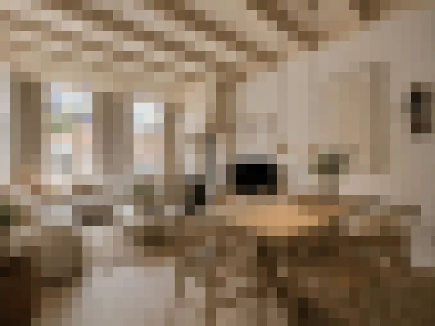 Bilderdijkstraat 10 Utrecht thumbnail 4