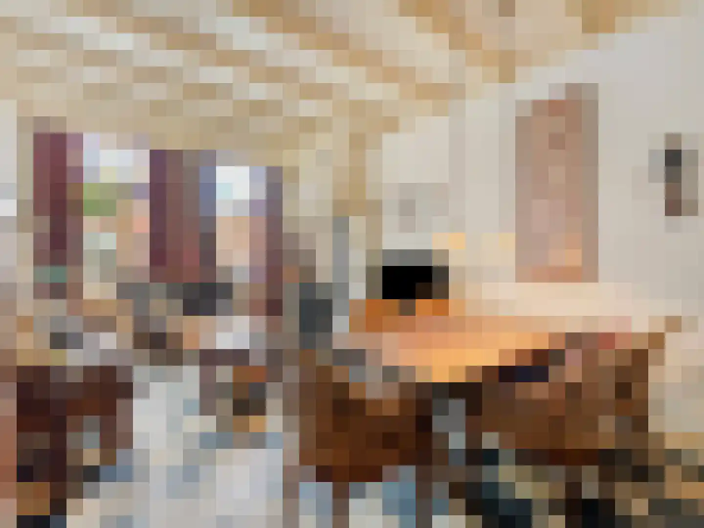 Bilderdijkstraat 10 Utrecht thumbnail 5
