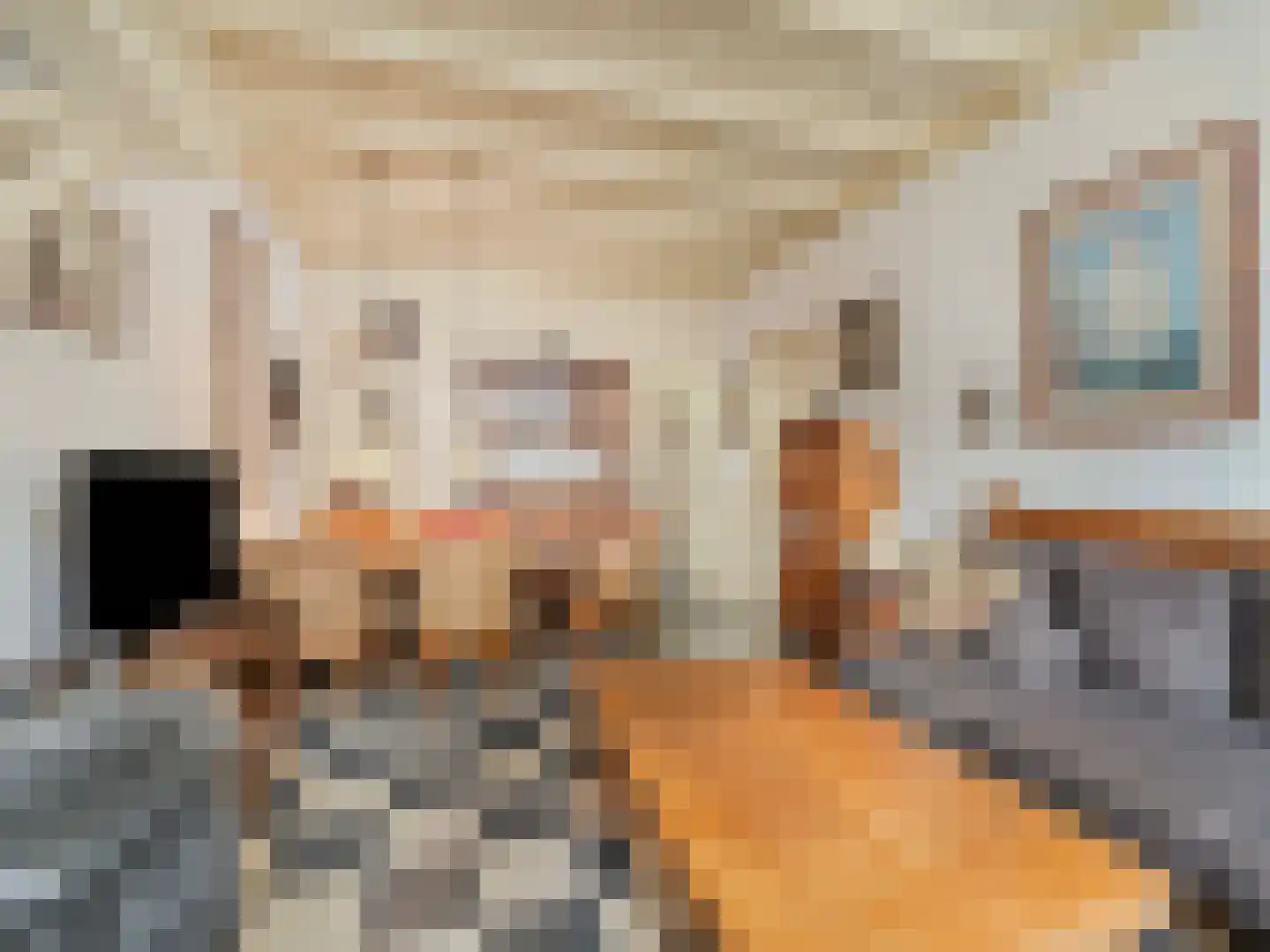 Bilderdijkstraat 10 Utrecht thumbnail 6