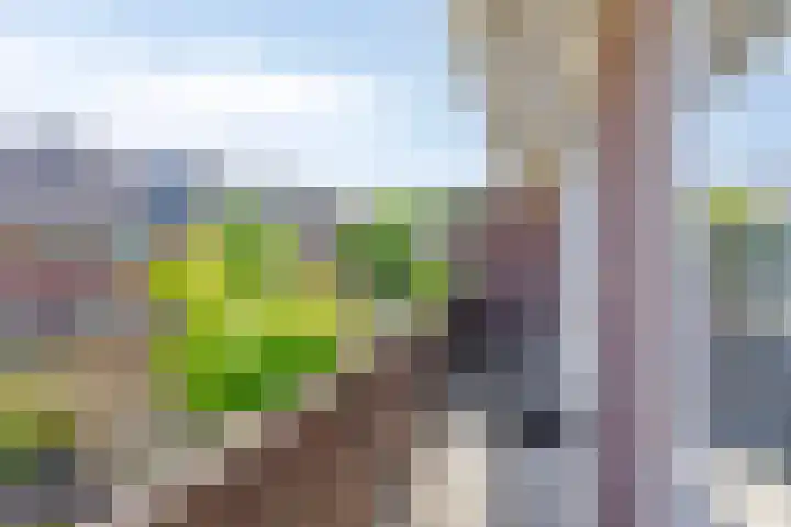 Bilderdijkstraat 11 Arnhem thumbnail 33