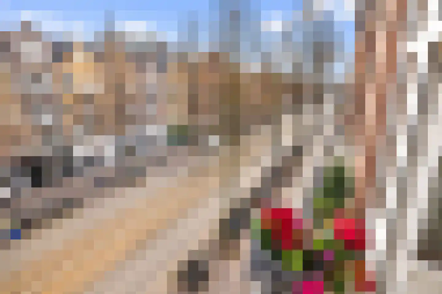 Bilderdijkstraat 120 2 Amsterdam thumbnail 7