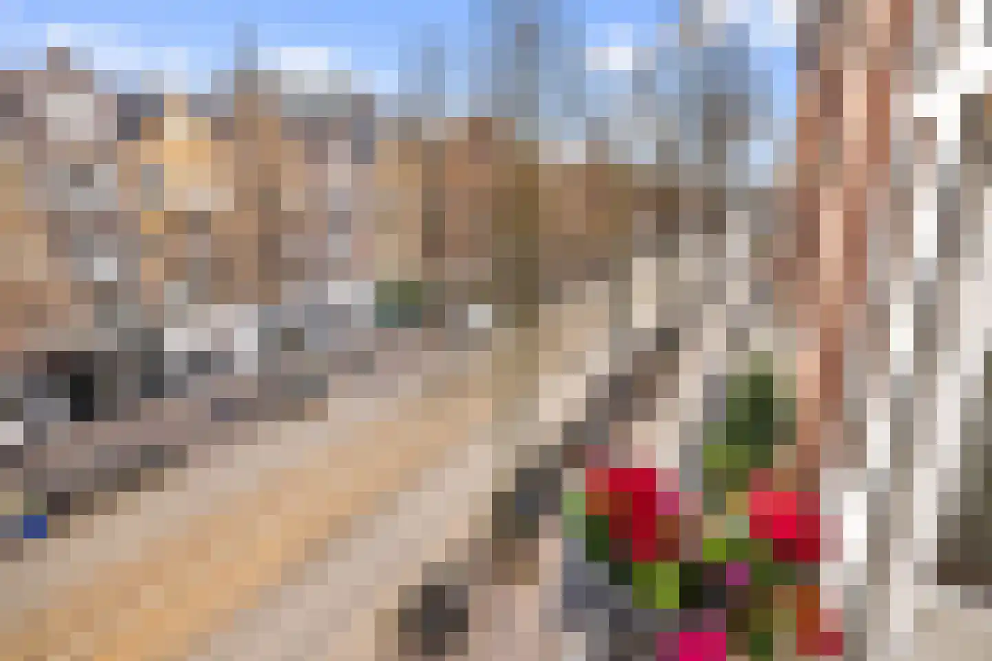 Bilderdijkstraat 120 3 Amsterdam thumbnail 7