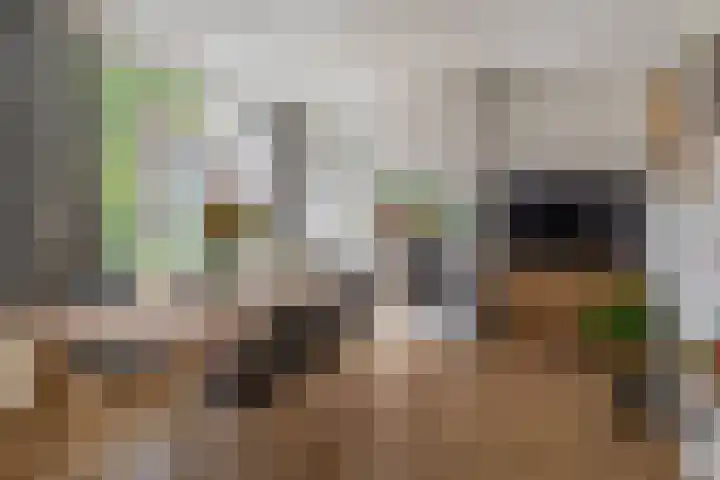Bilderdijkstraat 13 Capelle aan den IJssel thumbnail 11