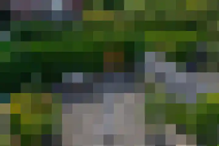 Bilderdijkstraat 13 Capelle aan den IJssel thumbnail 33