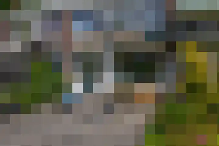 Bilderdijkstraat 13 Capelle aan den IJssel thumbnail 36
