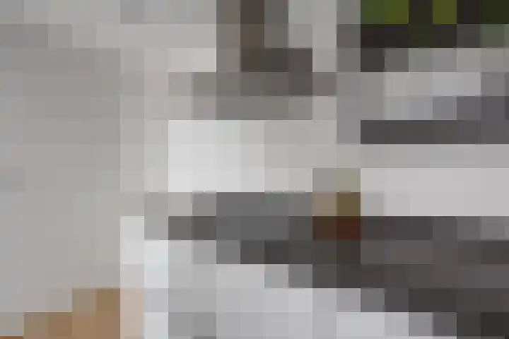 Bilderdijkstraat 15 Tilburg thumbnail 10